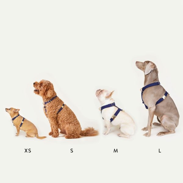 Onyx Dog Harness - Image 9