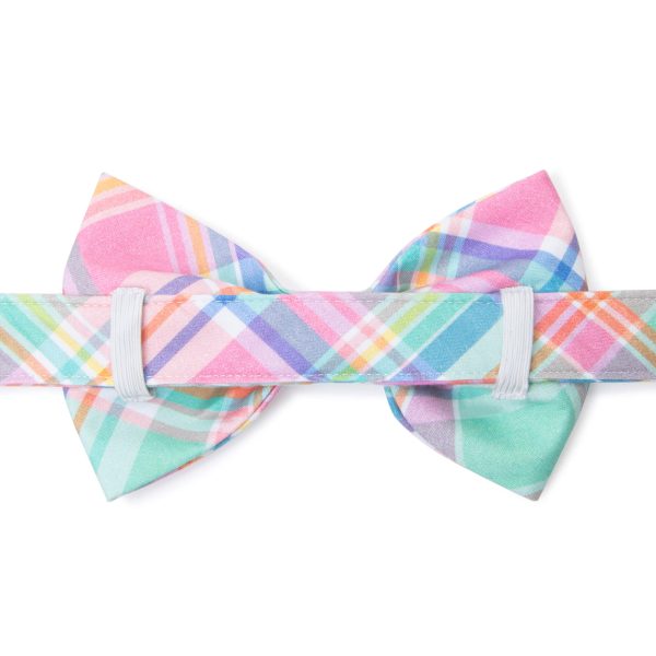Blooming Plaid Bow Tie Collar - Image 2