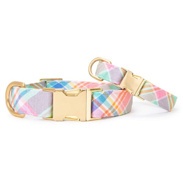 Blooming Plaid Dog Collar - Image 4