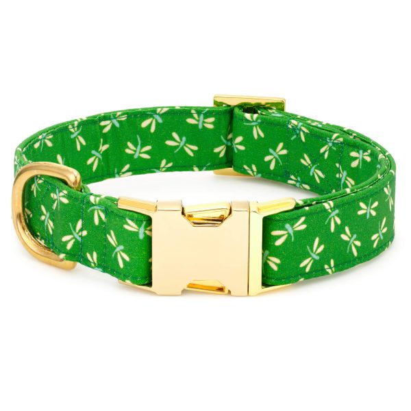 Dragonflies Dog Collar