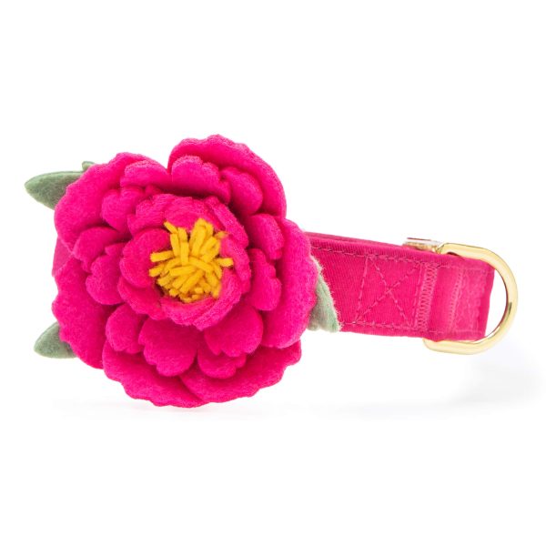 Peony Dog Collar Flower Set