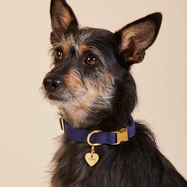 Ocean Dog Collar - Image 5