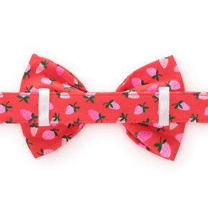 Berry Sweet Bow Tie Collar - Image 2