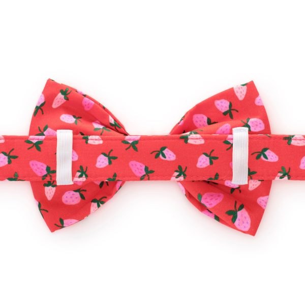 Berry Sweet Bow Tie Collar - Image 2