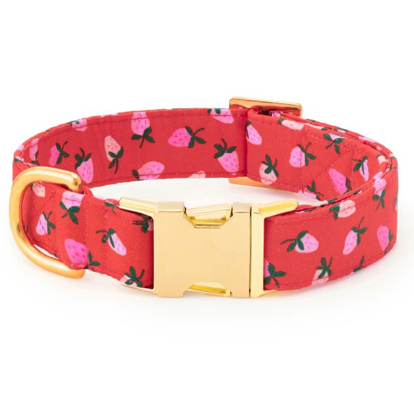 Berry Sweet Lady Bow Collar - Image 3