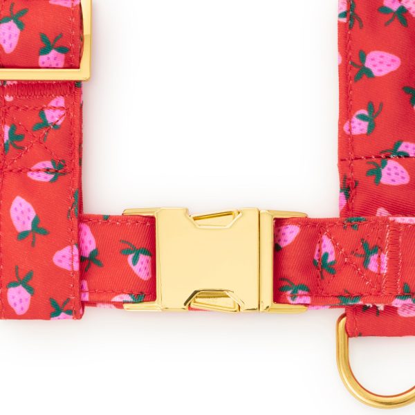 Berry Sweet Dog Harness - Image 3