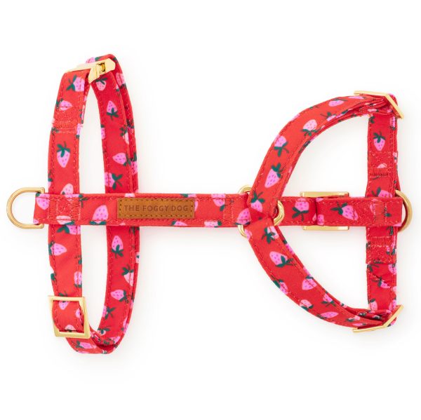 Berry Sweet Dog Harness - Image 2