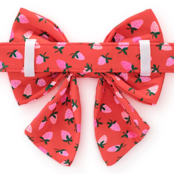 Berry Sweet Lady Bow Collar - Image 2