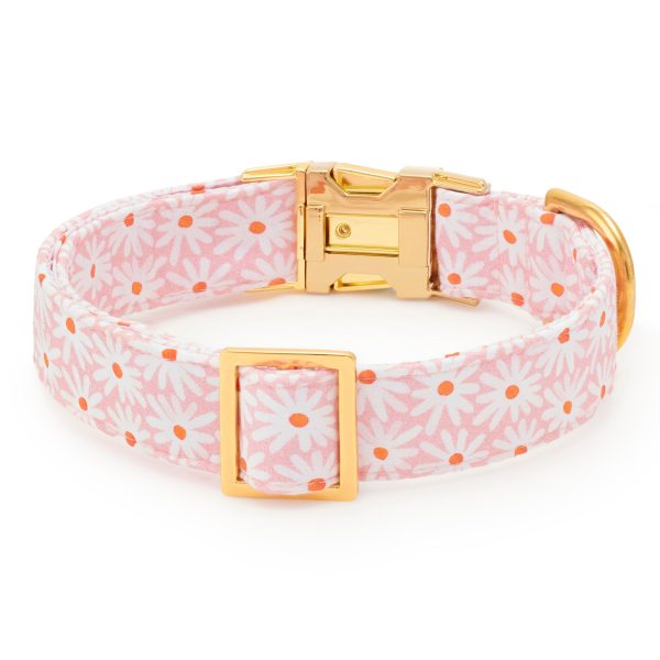Fresh as a Daisy Dog Collar - Image 3