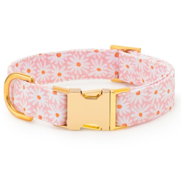 Fresh as a Daisy Lady Bow Collar - Image 3