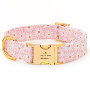 Fresh as a Daisy Dog Collar