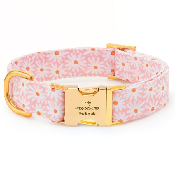Fresh as a Daisy Dog Collar