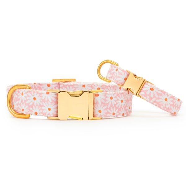 Fresh as a Daisy Dog Collar - Image 4
