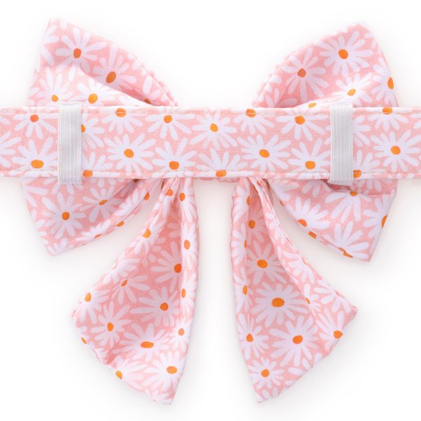Fresh as a Daisy Lady Bow Collar - Image 2