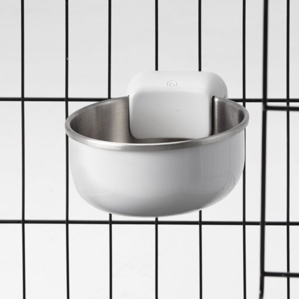 Crate Bowl - Image 4