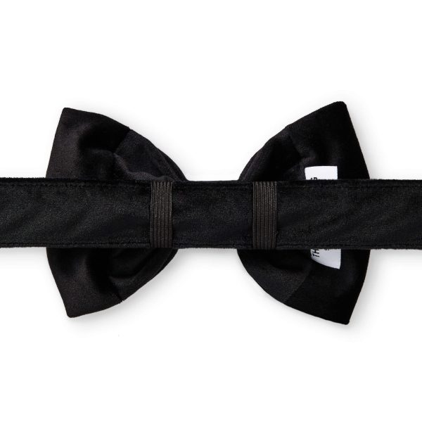 Black Velvet Bow Tie Collar - Image 2