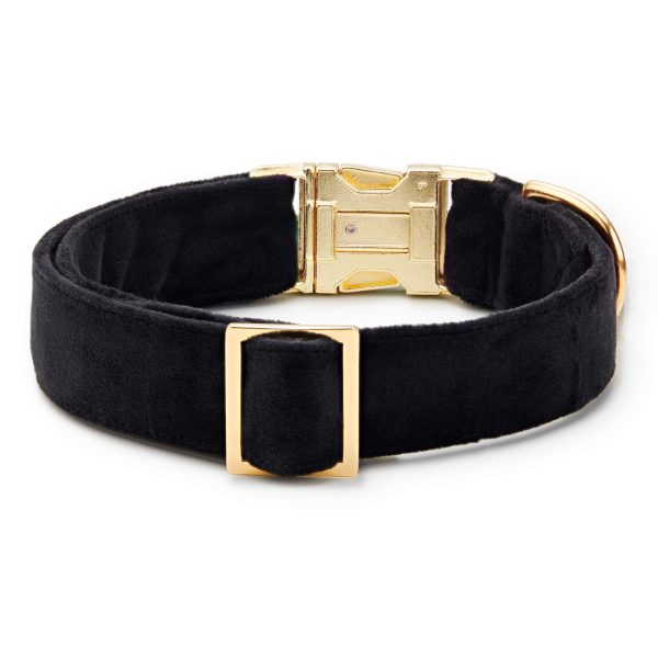 Black Velvet Dog Collar - Image 2