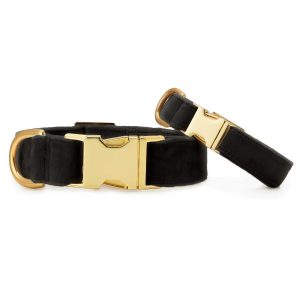 Black Velvet Dog Collar - Image 3