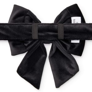 Black Velvet Lady Bow Collar - Image 2