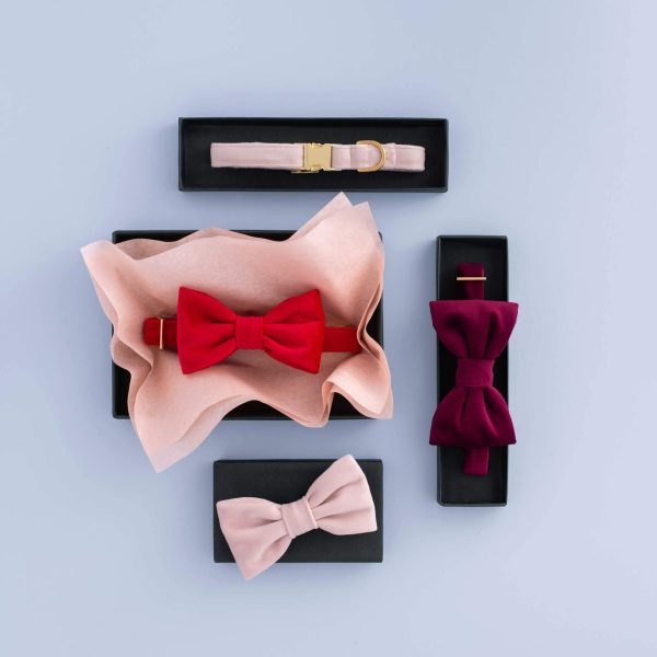 Blush Pink Velvet Lady Bow Collar - Image 8