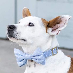 Chambray Dots Bow Tie Collar - Image 7