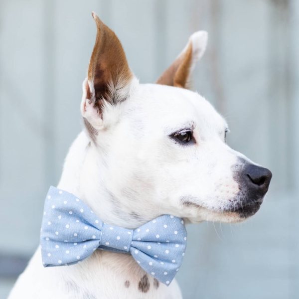 Chambray Dots Bow Tie Collar - Image 6