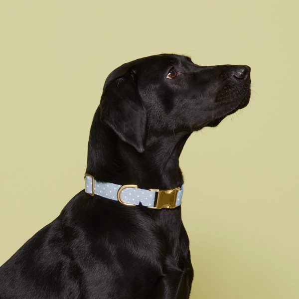 Chambray Dots Dog Collar - Image 5