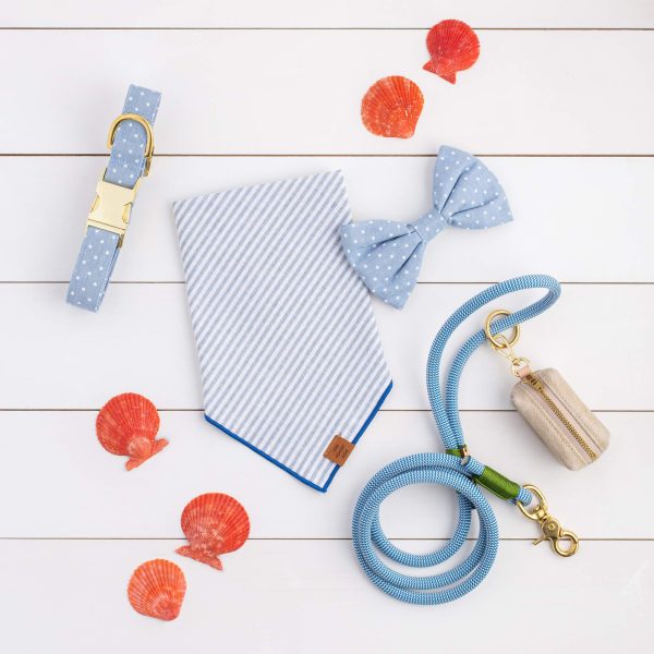 Chambray Dots Dog Collar - Image 7