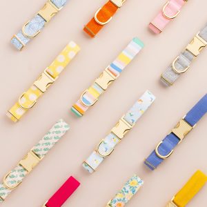 Hot Pink Dog Collar - Image 14