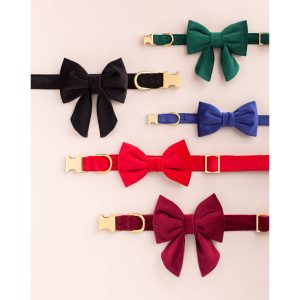 Black Velvet Dog Collar - Image 7
