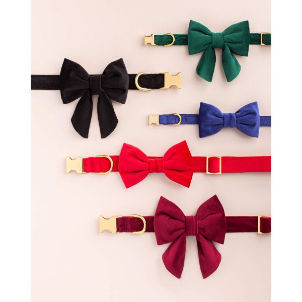 Black Velvet Dog Collar - Image 7