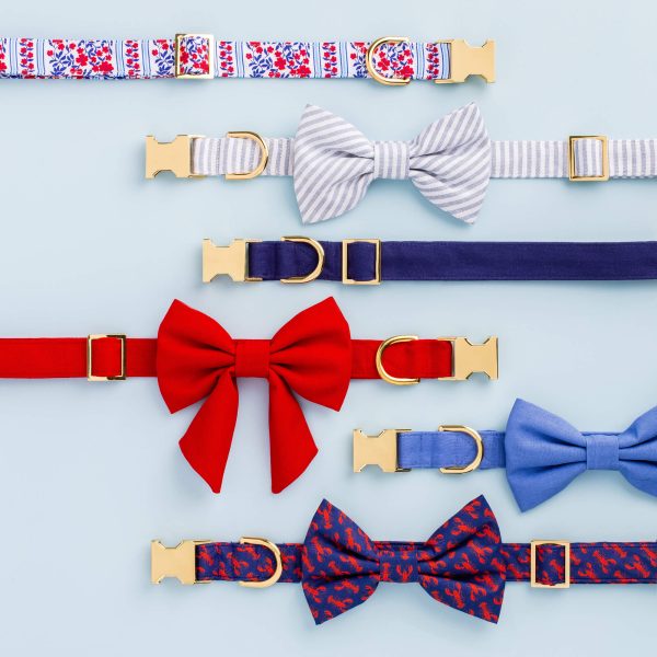 Catch of the Day Dog Collar - Image 6