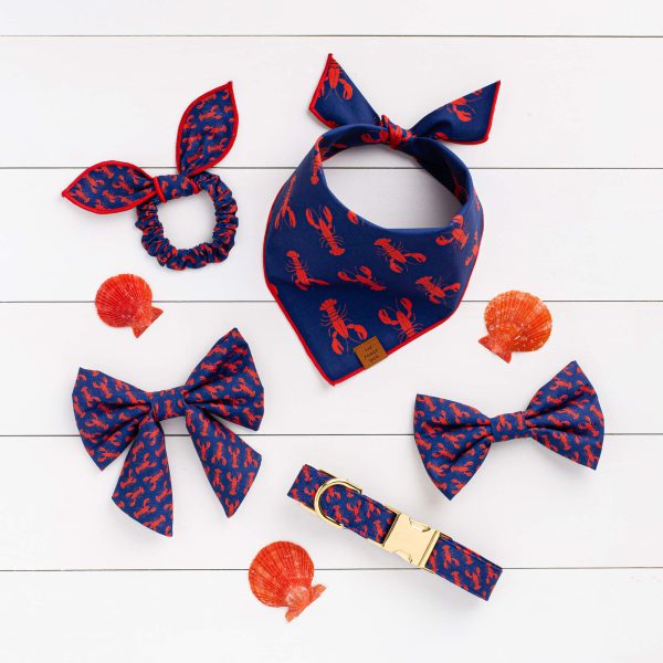 Catch of the Day Dog Collar - Image 5