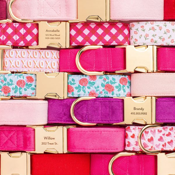 Hot Pink Velvet Dog Collar - Image 5