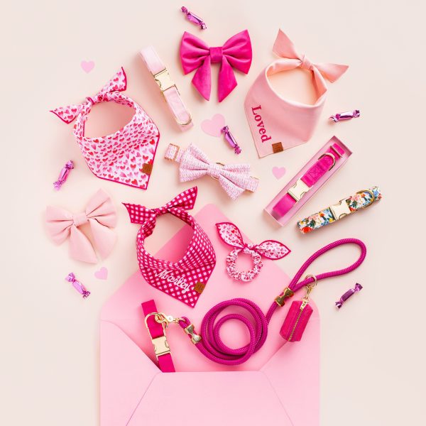 Hot Pink Velvet Lady Bow Collar - Image 10