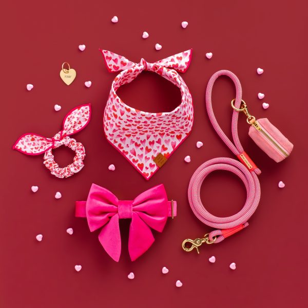 Hot Pink Velvet Lady Bow Collar - Image 9