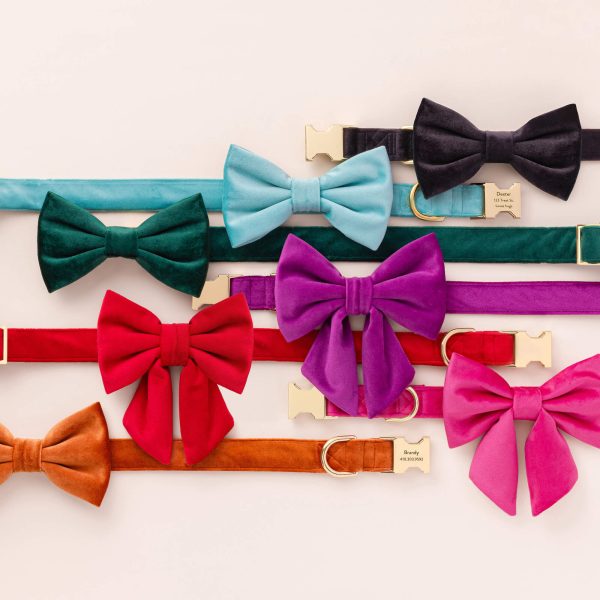 Black Velvet Bow Tie Collar - Image 5