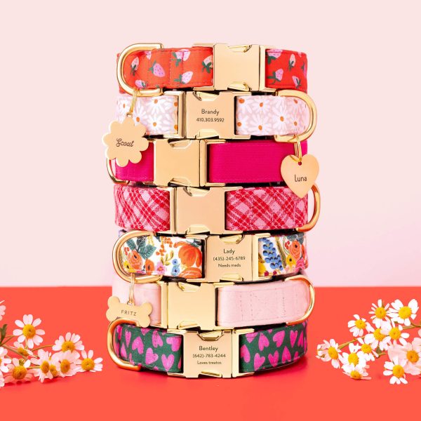 Hot Pink Dog Collar - Image 7
