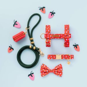 Berry Sweet Dog Harness - Image 6