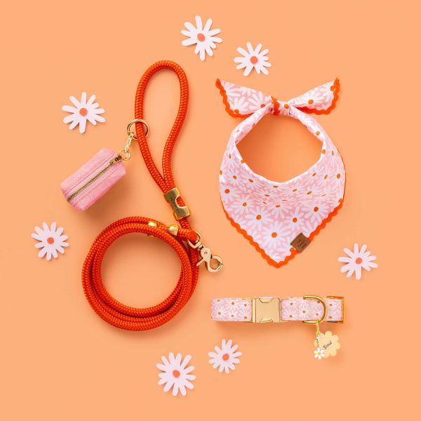 Fresh as a Daisy Dog Collar - Image 6