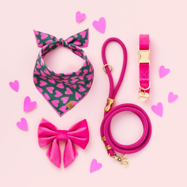 Hot Pink Velvet Lady Bow Collar - Image 7