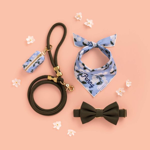 Olive Bow Tie Collar - Image 6