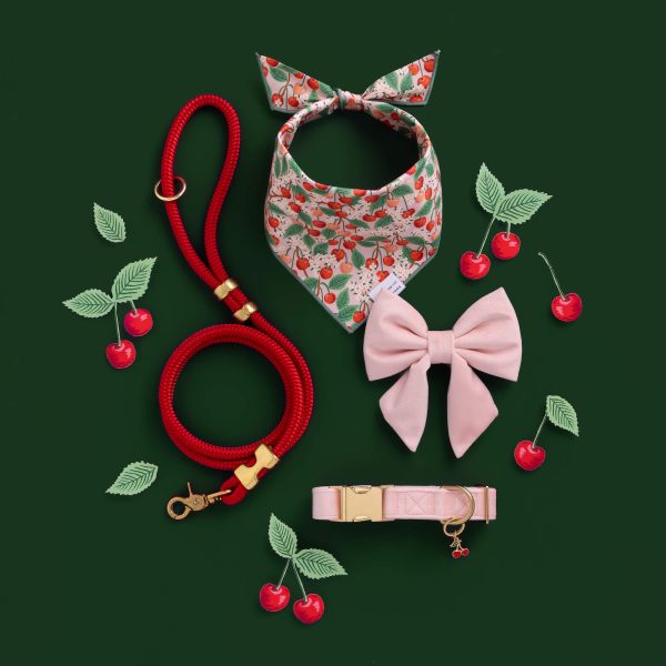 Blush Pink Velvet Lady Bow Collar - Image 6