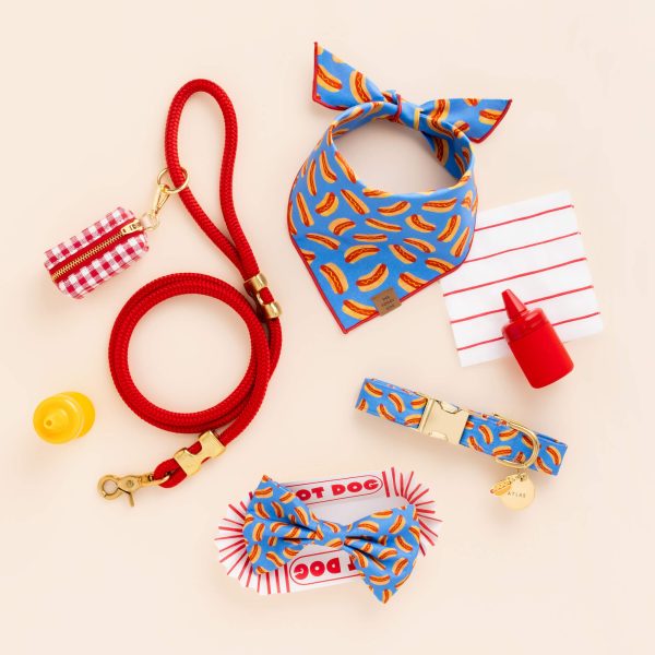 Hot Diggity Dog Collar - Image 7