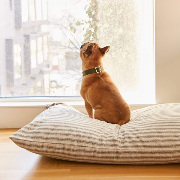 Olive Dog Collar - Image 9