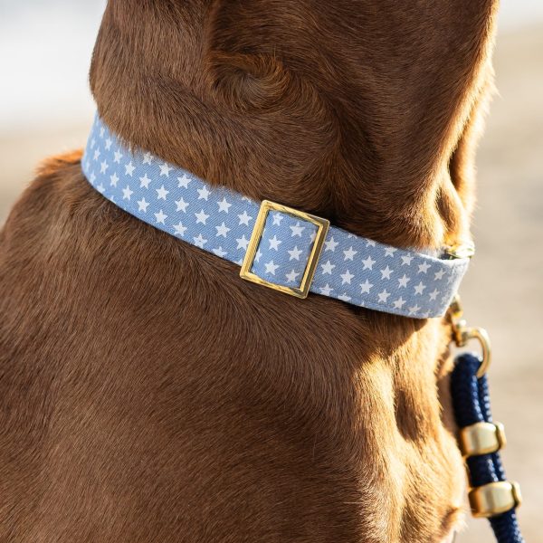 Liberty Dog Collar - Image 5