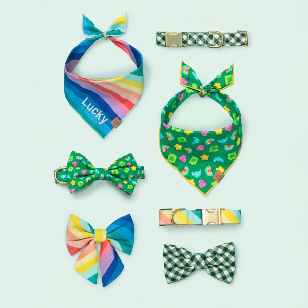 Over the Rainbow Dog Collar - Image 8