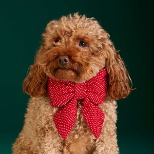 Berry Stitch Flannel Lady Bow Collar - Image 4