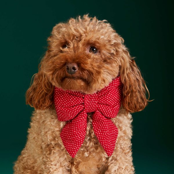 Berry Stitch Flannel Lady Bow Collar - Image 4
