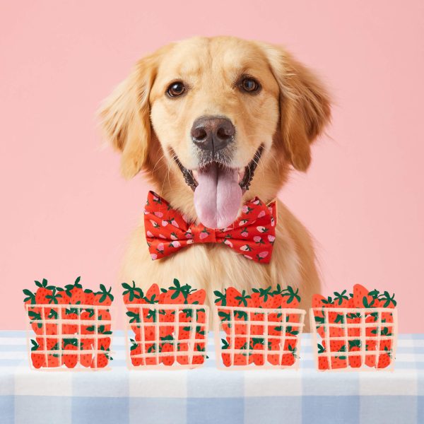 Berry Sweet Bow Tie Collar - Image 4